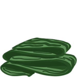 ItemFood Seaweed.png