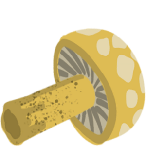 ItemFood Mushroom.png