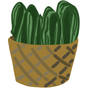 ItemBasket Food Seaweed.png