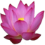 ItemFabric Lotus.png